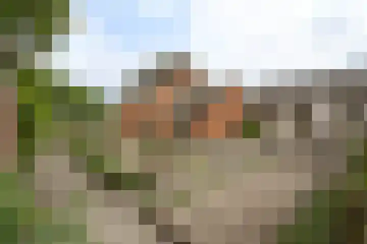 Moerstraatseweg 150 Steenbergen thumbnail 7