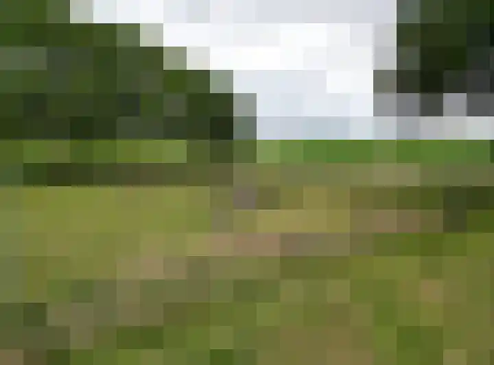Moerstraatseweg 150 Steenbergen thumbnail 70