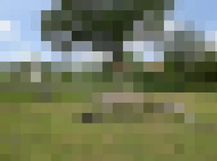 Moerstraatseweg 150 Steenbergen thumbnail 71