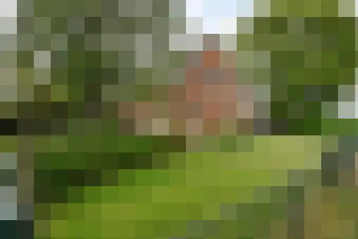 Moerstraatseweg 150 Steenbergen thumbnail 9
