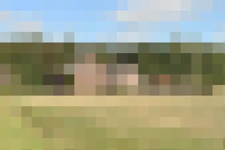 Moerstraatseweg 152 Steenbergen thumbnail 43