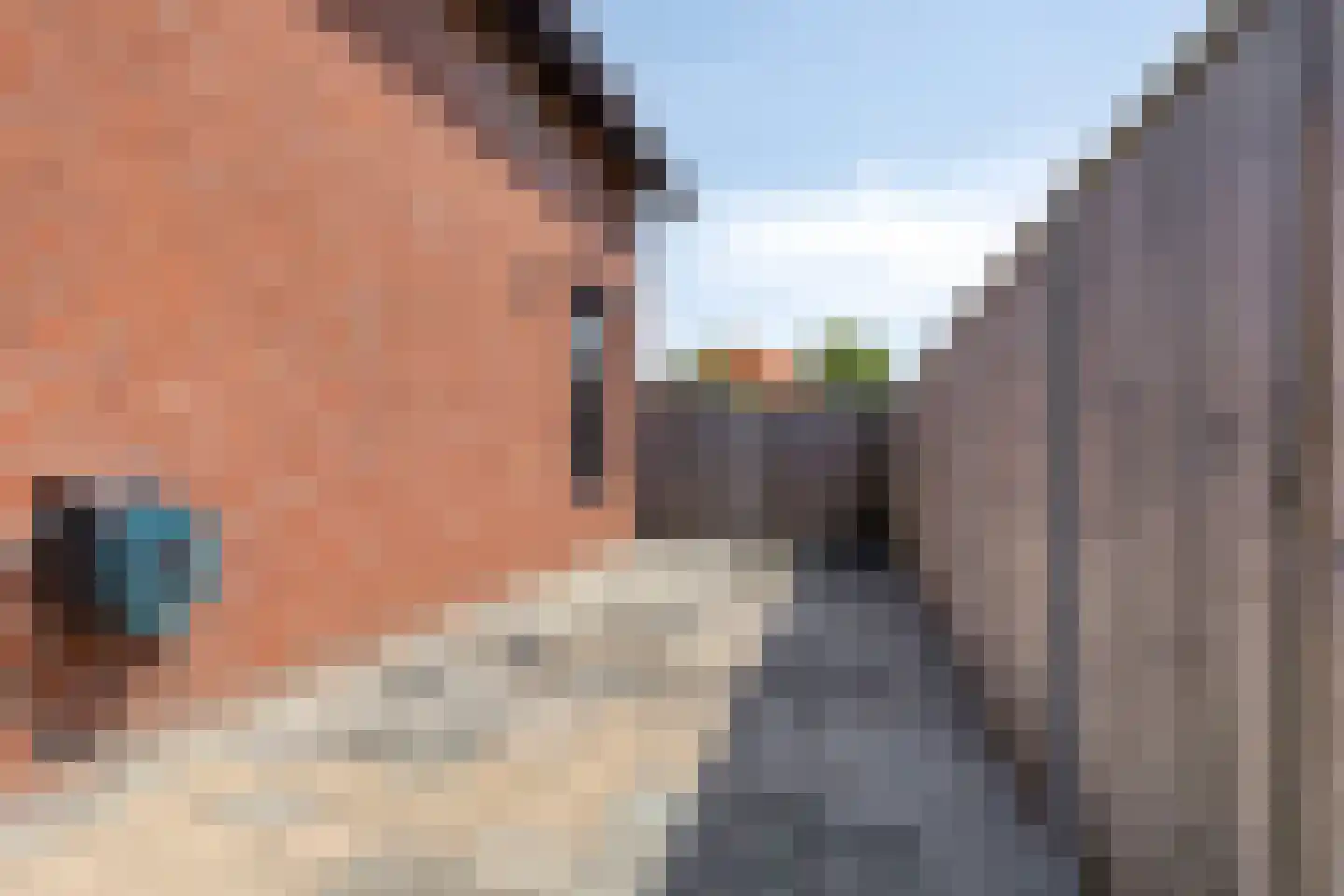 Moerstraatseweg 75 Moerstraten thumbnail 37