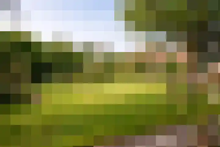 Moerstraatseweg 77 Moerstraten thumbnail 36