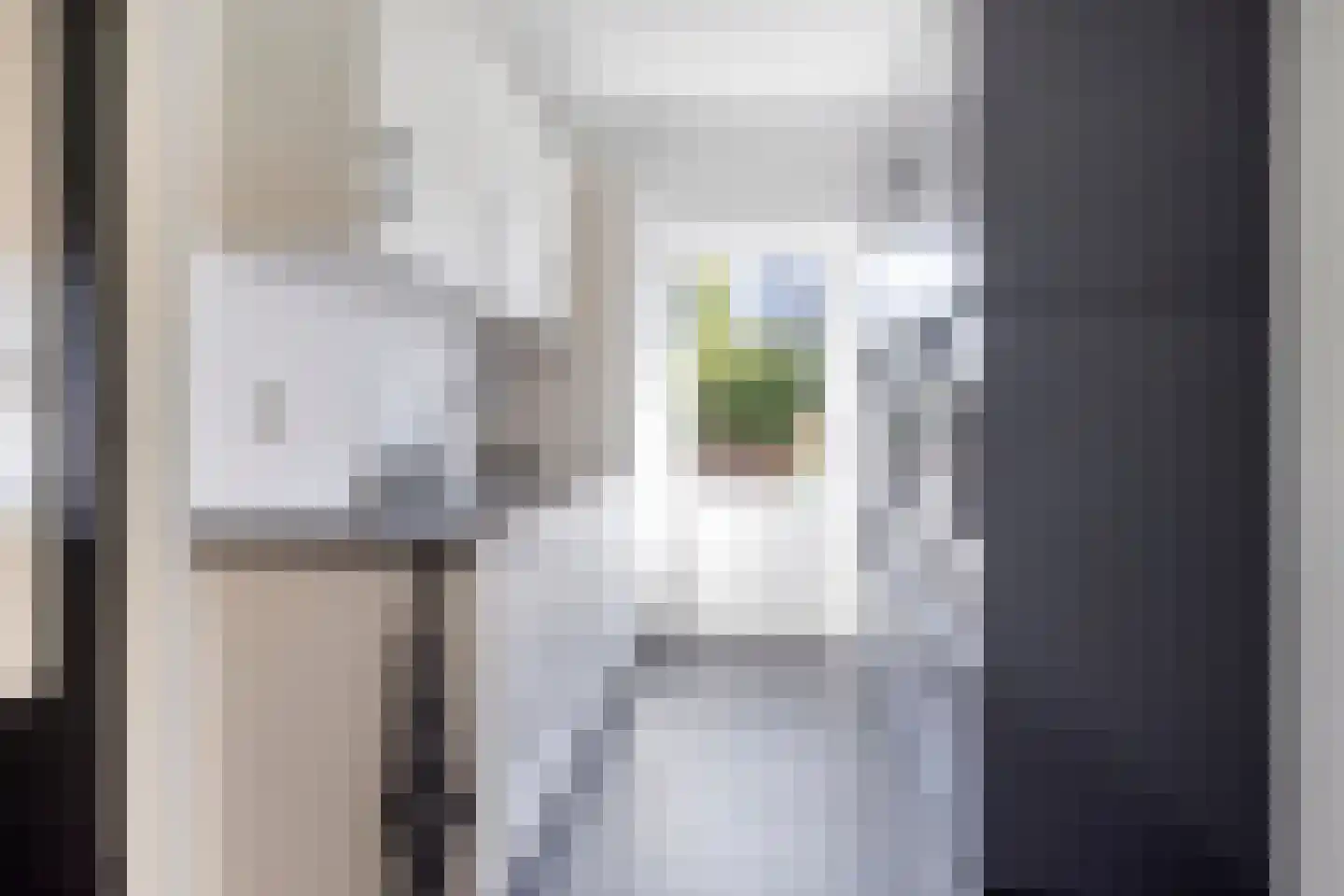 Moervaart 10 Rucphen thumbnail 17