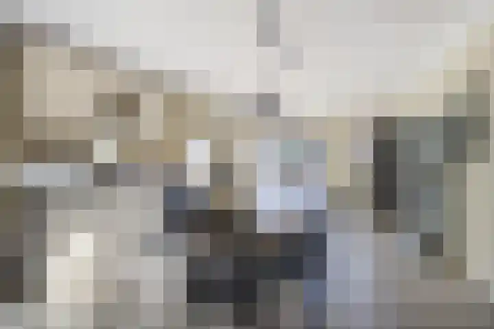 Moervaart 14 Rucphen thumbnail 11