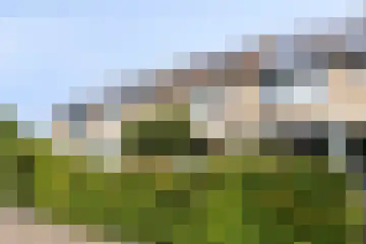 Moervaart 14 Rucphen thumbnail 13