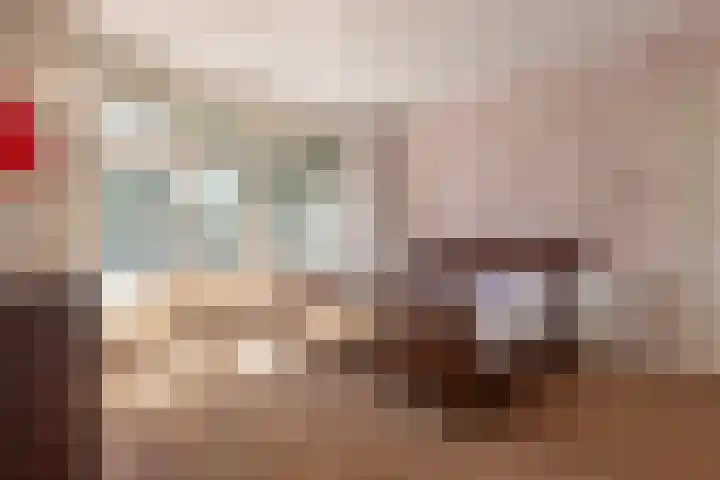 Moervaart 14 Rucphen thumbnail 7