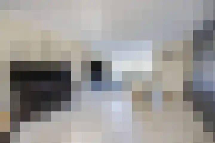 Moervaart 14 Rucphen thumbnail 8