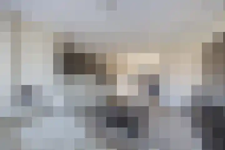 Moervaart 14 Rucphen thumbnail 9