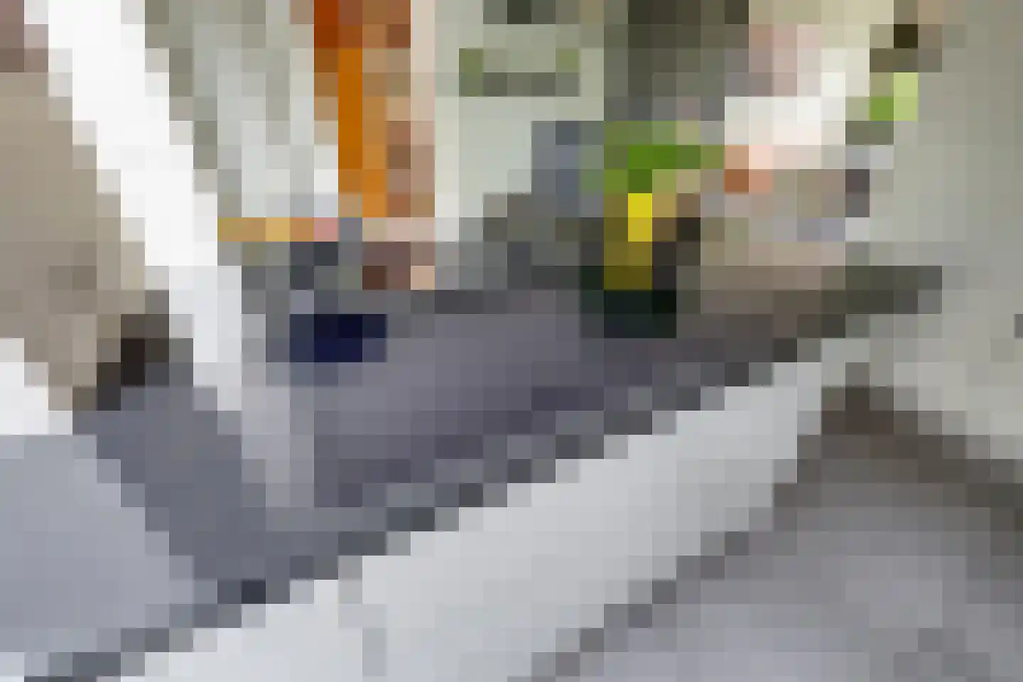 Moervaart 6 Rucphen thumbnail 11