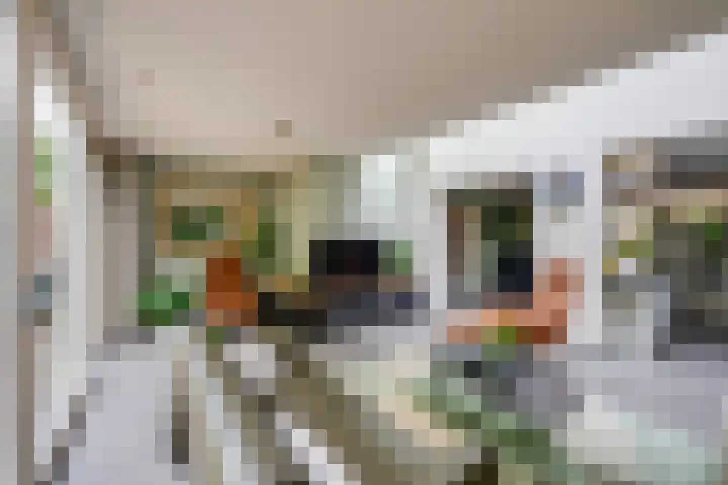 Moervaart 6 Rucphen thumbnail 14