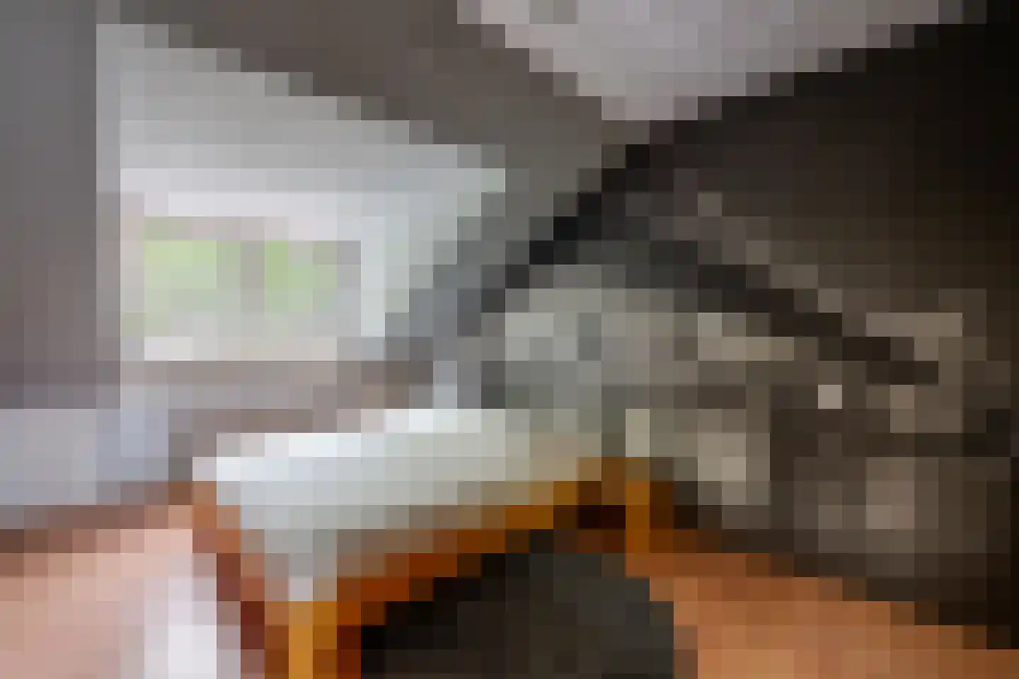 Moervaart 6 Rucphen thumbnail 24