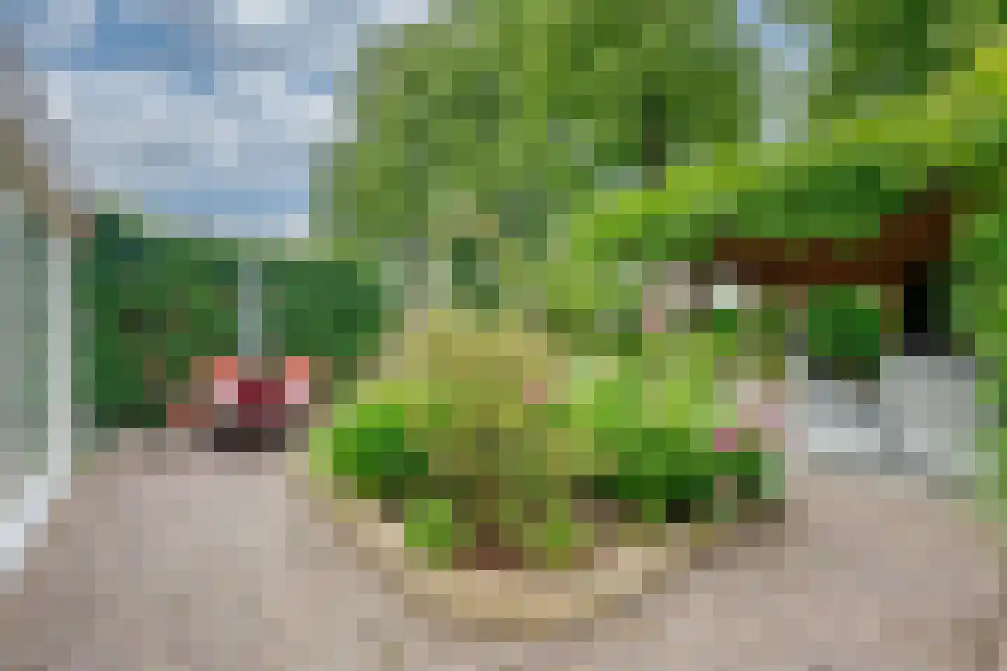 Moervaart 6 Rucphen thumbnail 32
