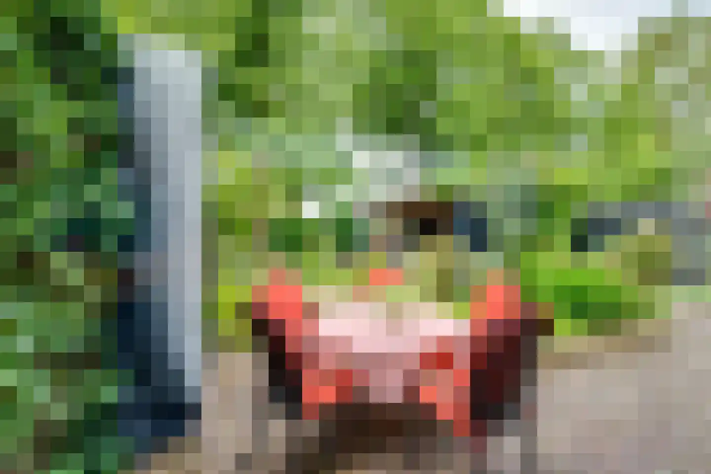 Moervaart 6 Rucphen thumbnail 33