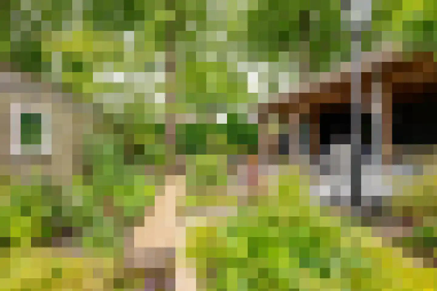 Moervaart 6 Rucphen thumbnail 34