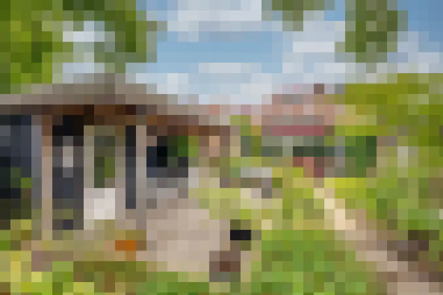 Moervaart 6 Rucphen thumbnail 36