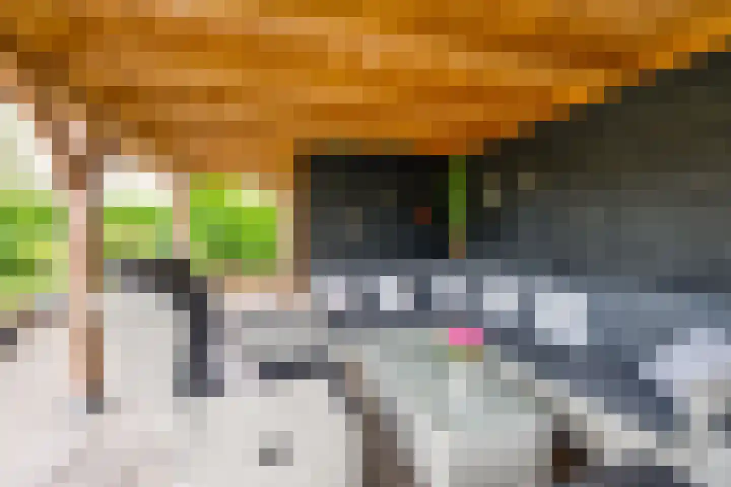 Moervaart 6 Rucphen thumbnail 37