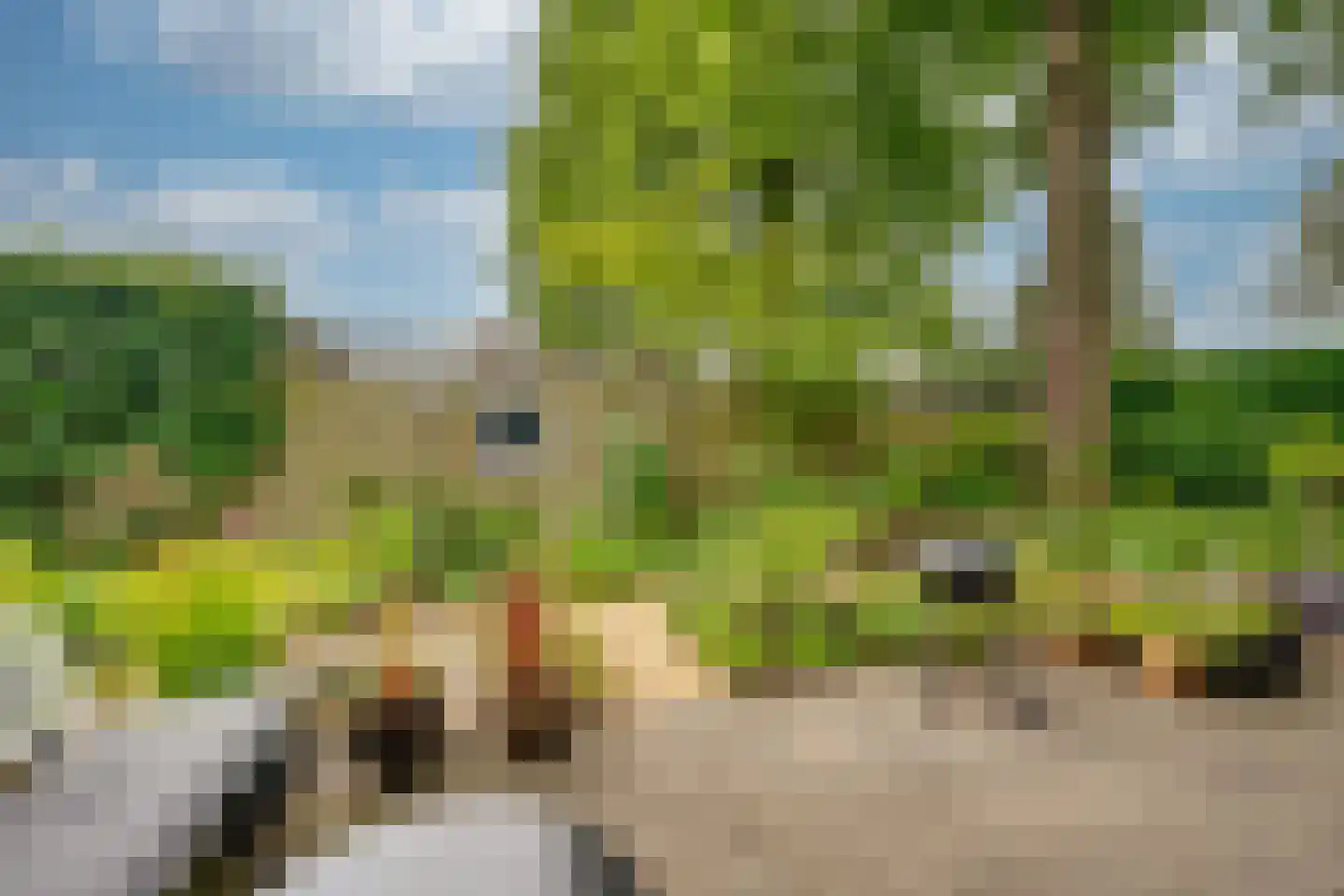 Moervaart 6 Rucphen thumbnail 38