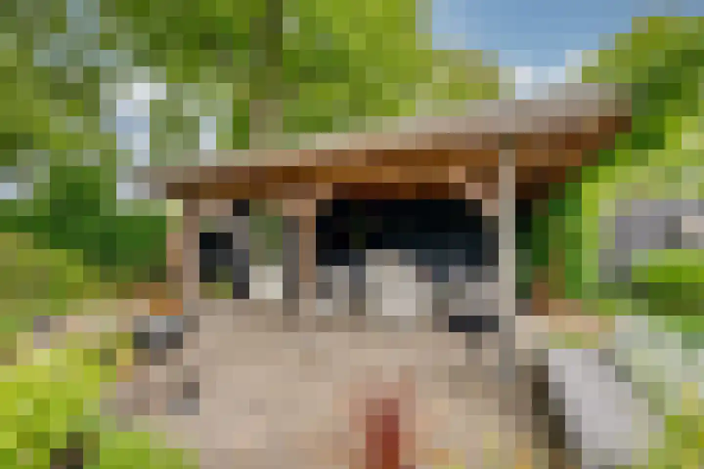 Moervaart 6 Rucphen thumbnail 4