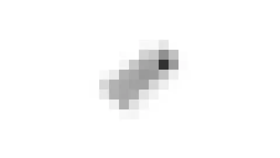 Moervaart 6 Rucphen thumbnail 57