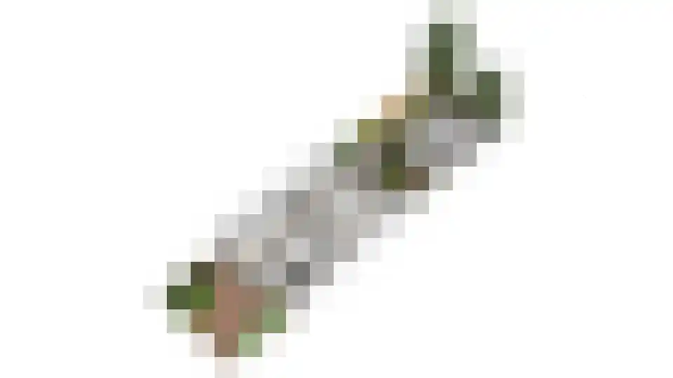 Moervaart 6 Rucphen thumbnail 60