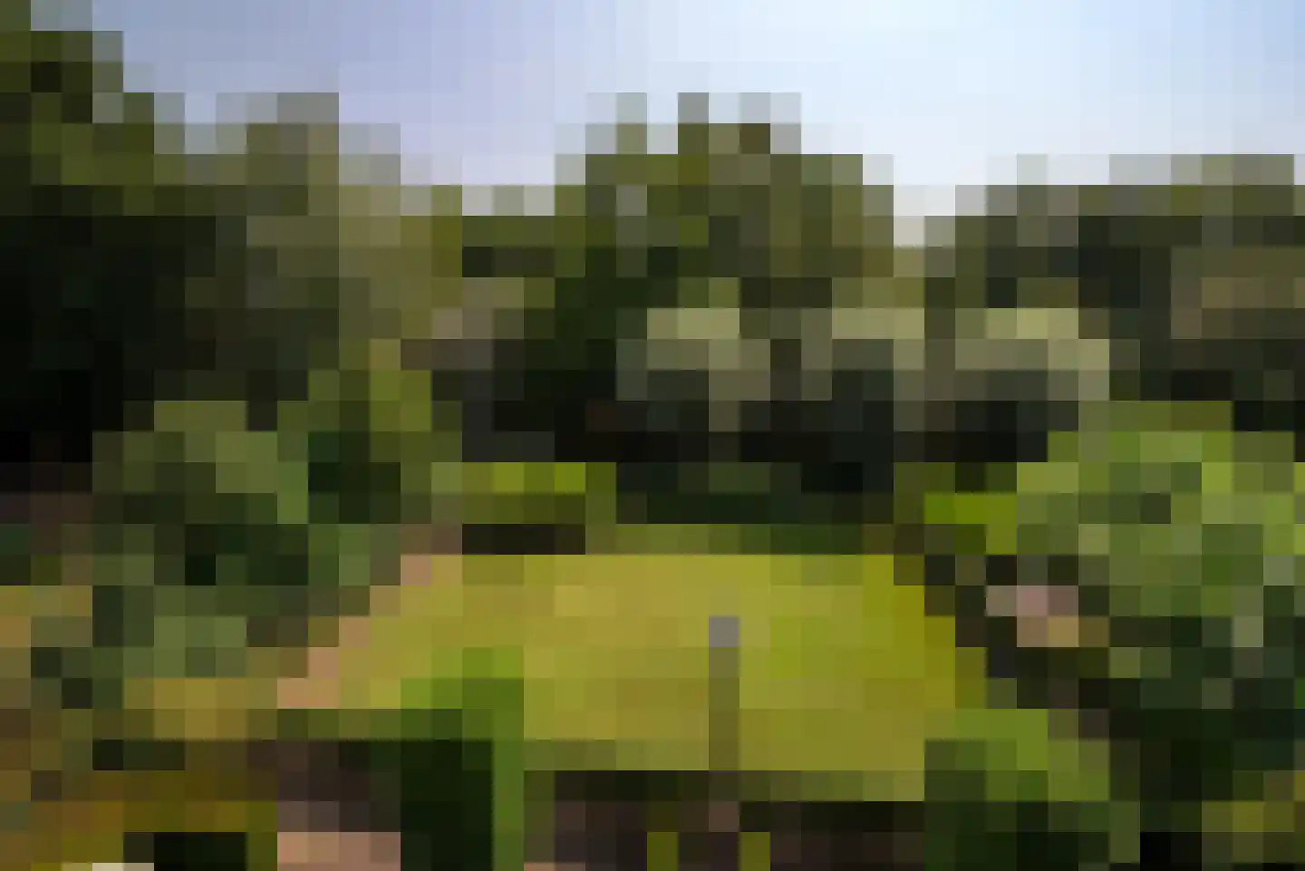 Moerven 108 Veghel thumbnail 42