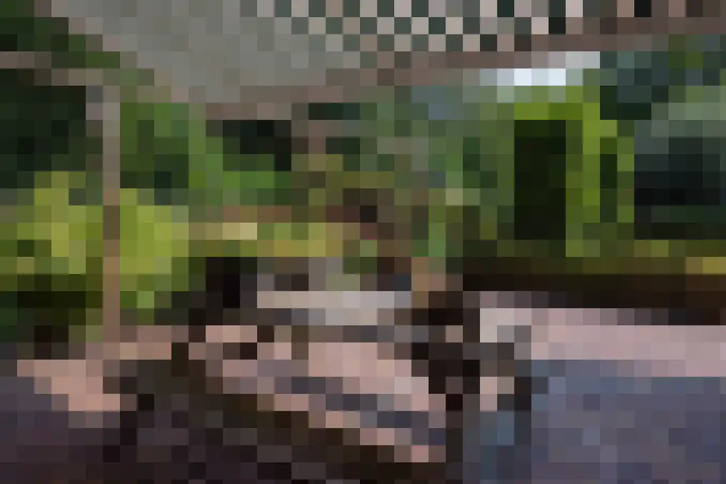Moerven 108 Veghel thumbnail 46
