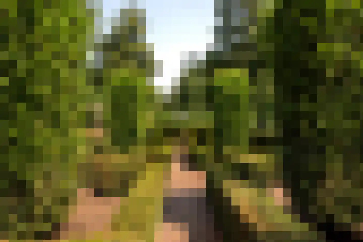Moerven 108 Veghel thumbnail 47