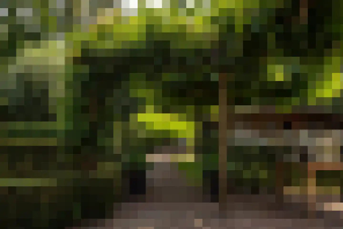 Moerven 108 Veghel thumbnail 48
