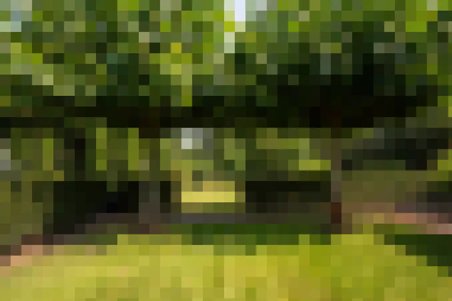 Moerven 108 Veghel thumbnail 49
