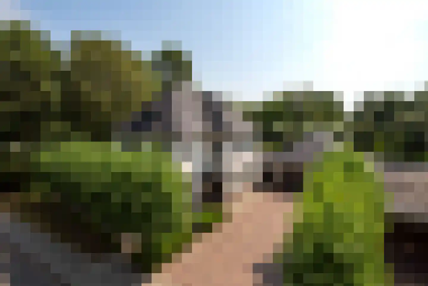 Moerven 108 Veghel thumbnail 52