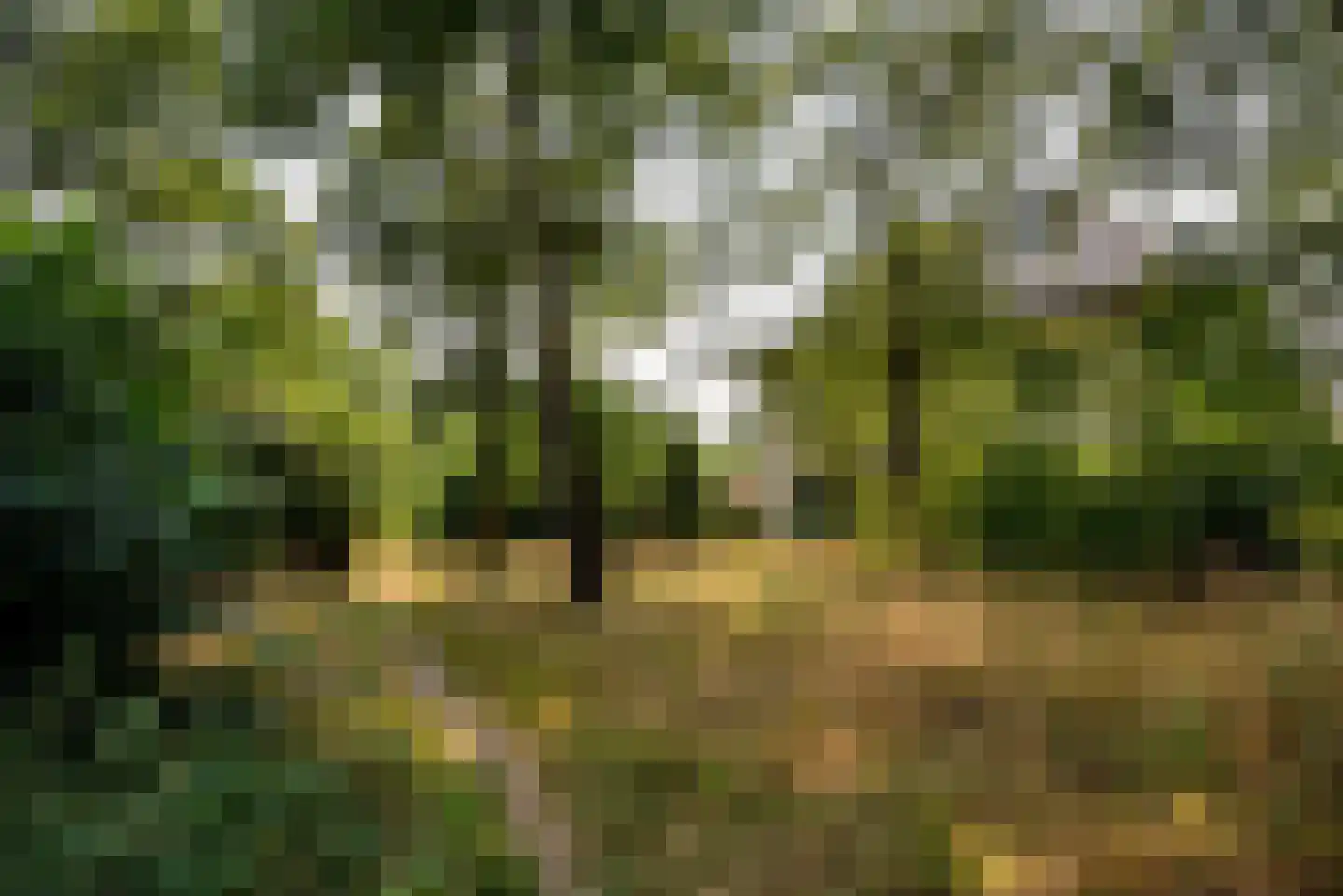Moerven 108 Veghel thumbnail 53