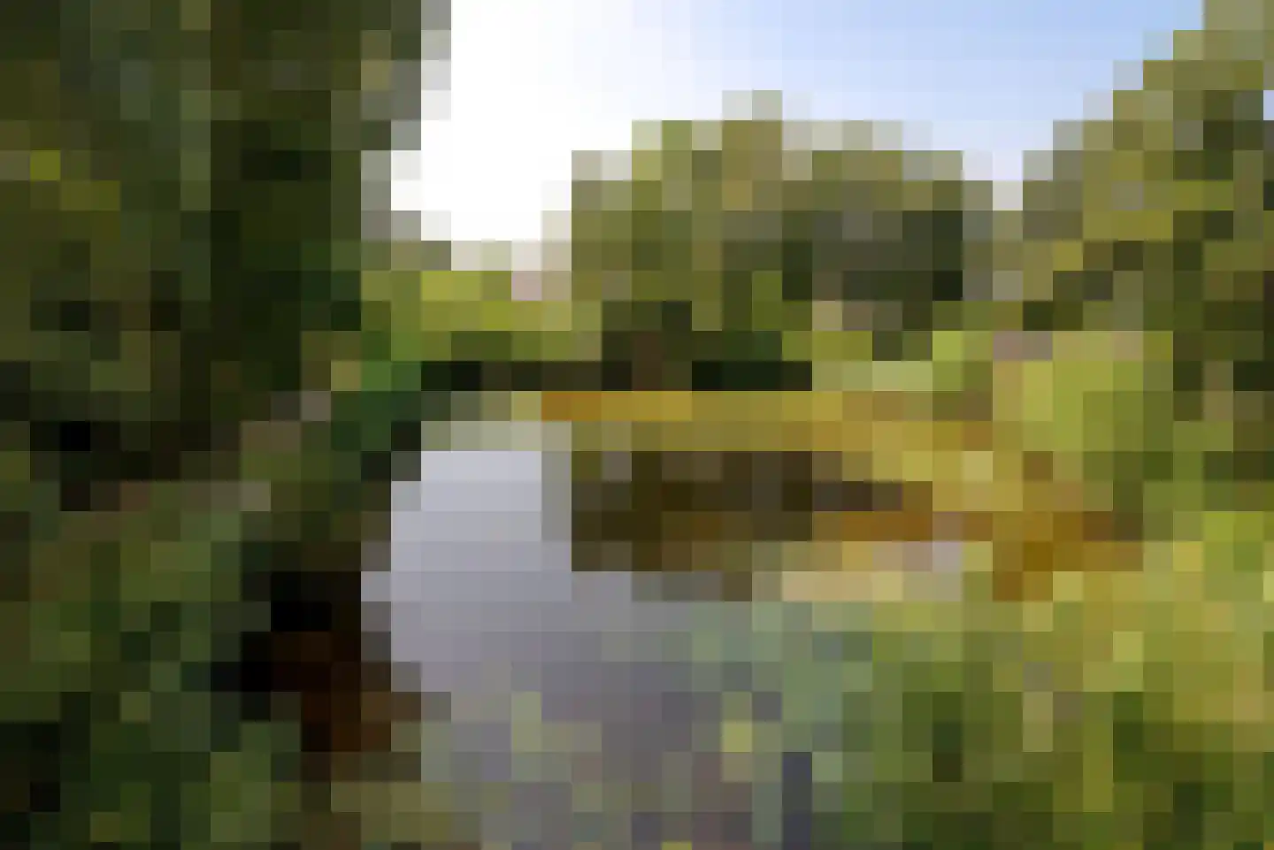 Moerven 108 Veghel thumbnail 54