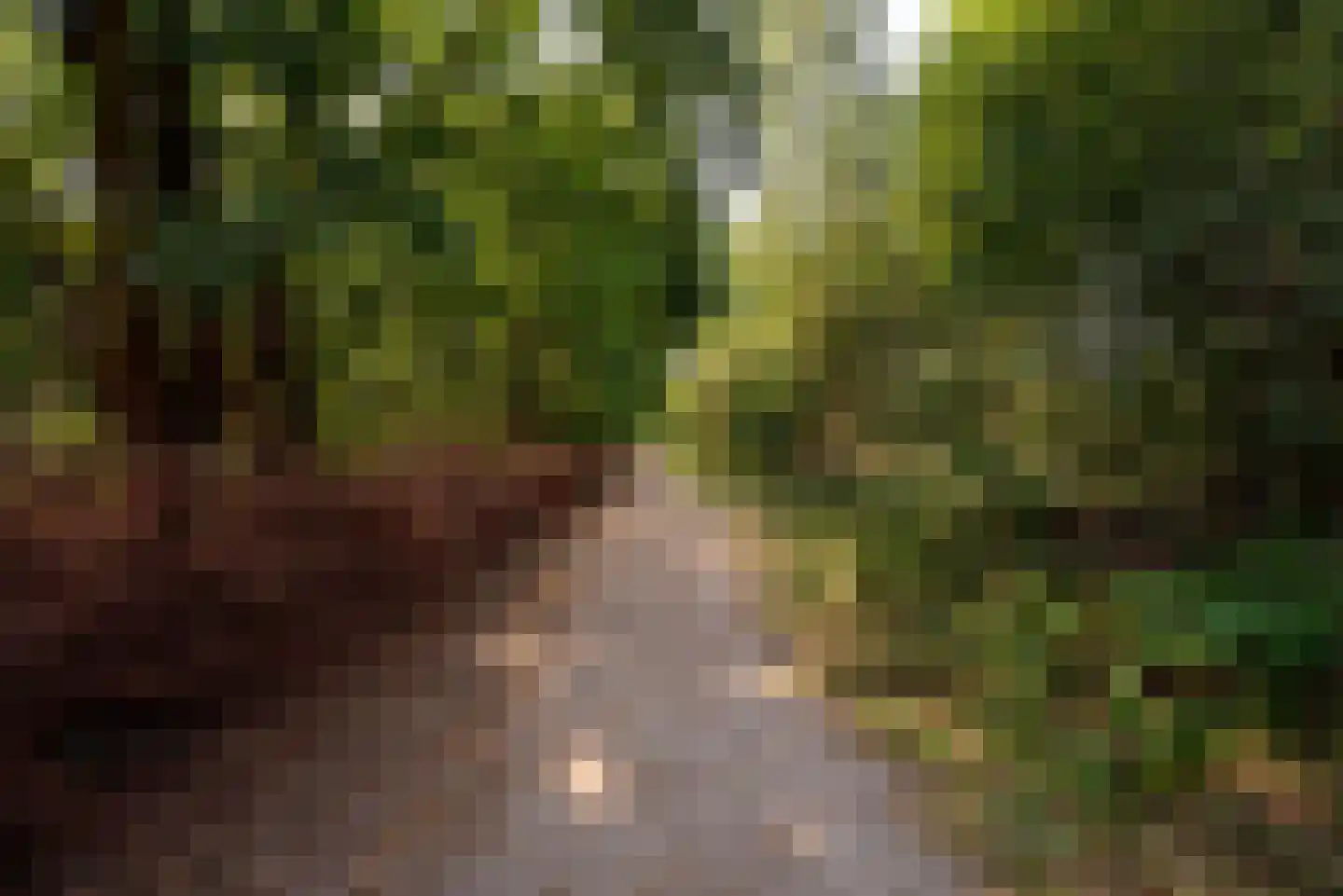 Moerven 108 Veghel thumbnail 55