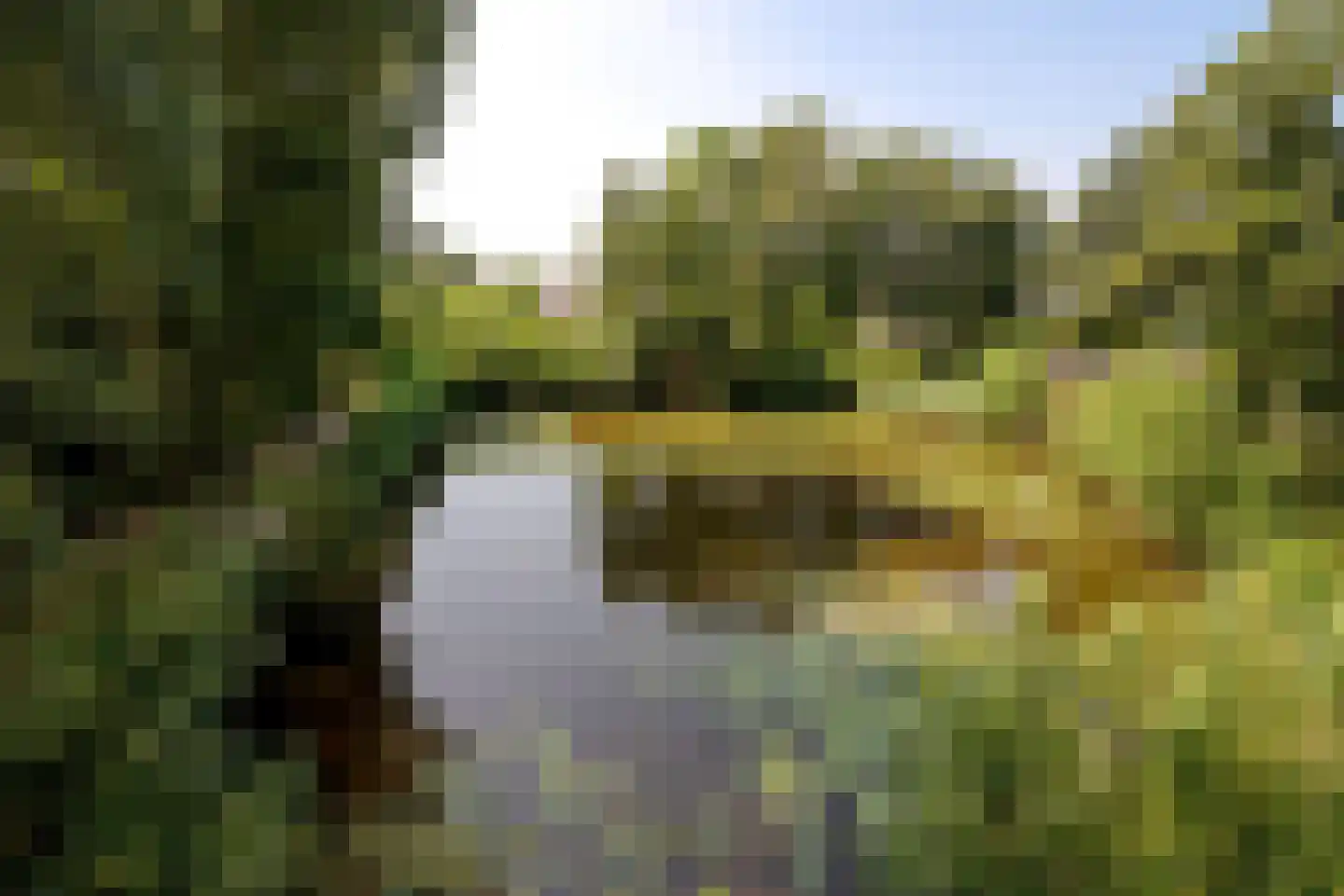 Moerven 108 Veghel thumbnail 6