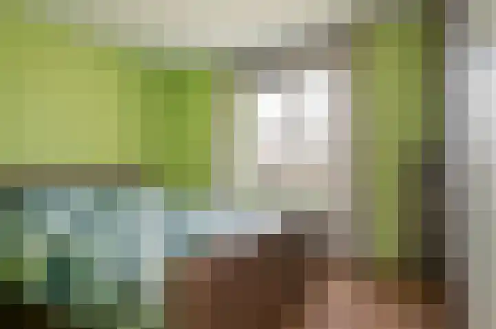 Moerven 12 Veghel thumbnail 16