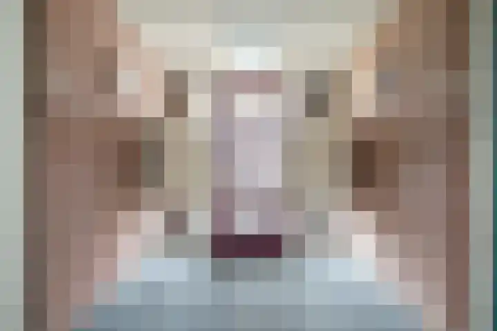 Moerven 12 Veghel thumbnail 24