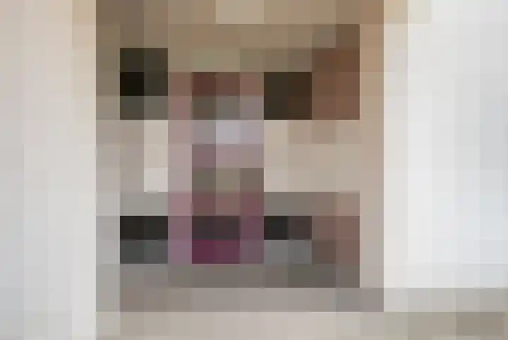 Moerven 12 Veghel thumbnail 25