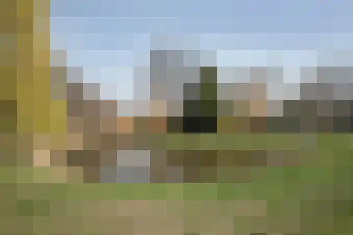 Moerven 12 Veghel thumbnail 33