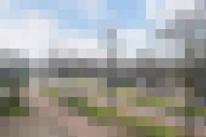 Moerven 12 Veghel thumbnail 9