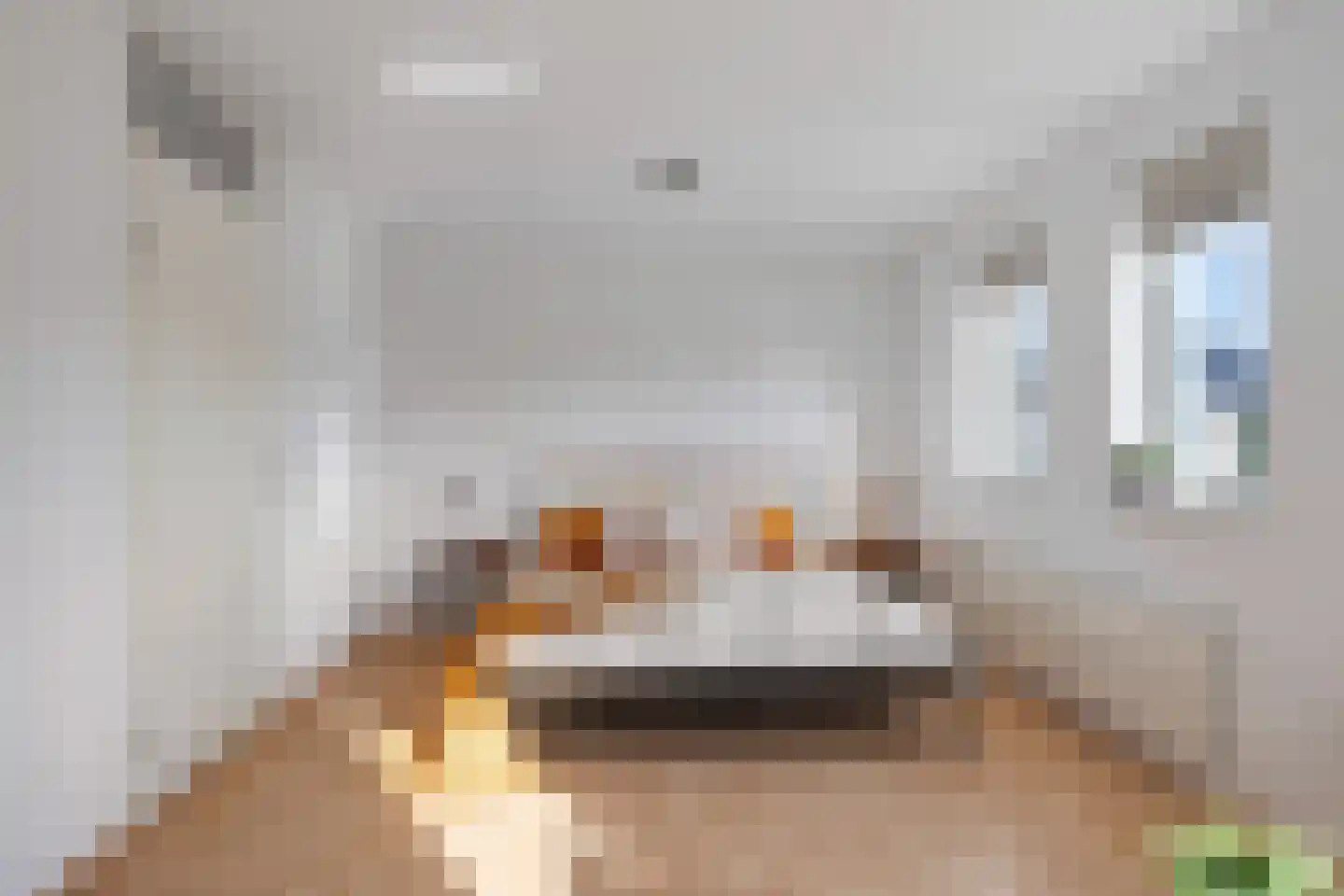 Moerven 159 Veghel thumbnail 33