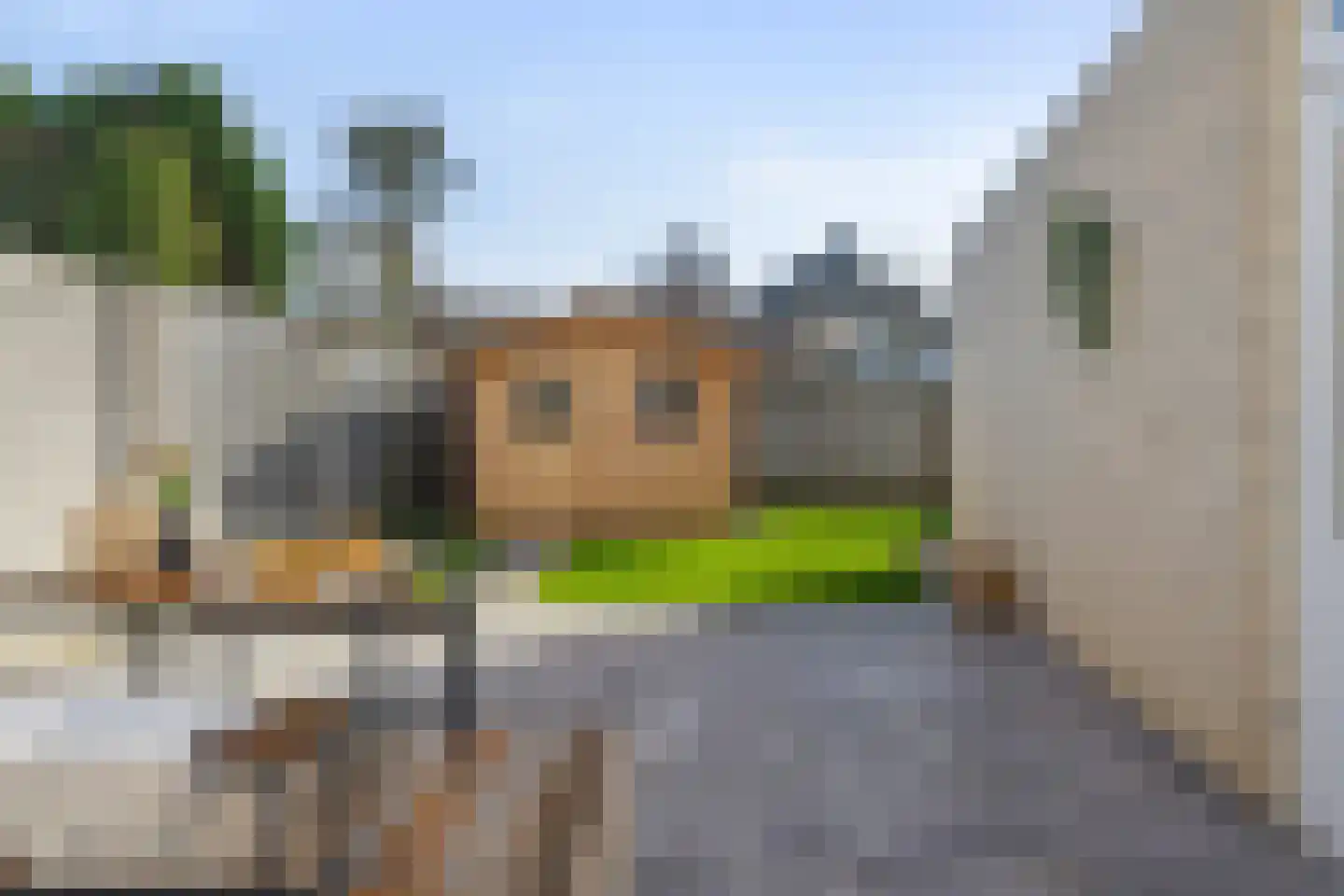 Moerven 159 Veghel thumbnail 48