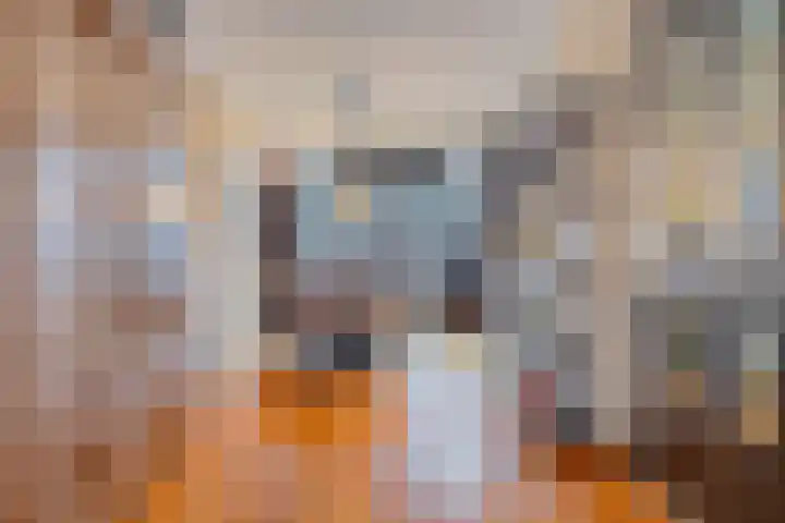 Moerven 207 Veghel thumbnail 11