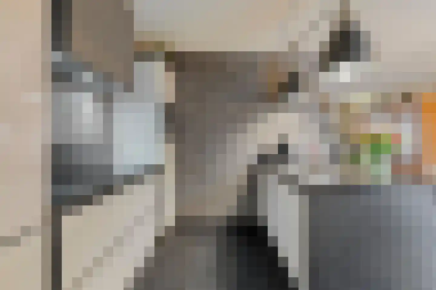 Moerven 207 Veghel thumbnail 14
