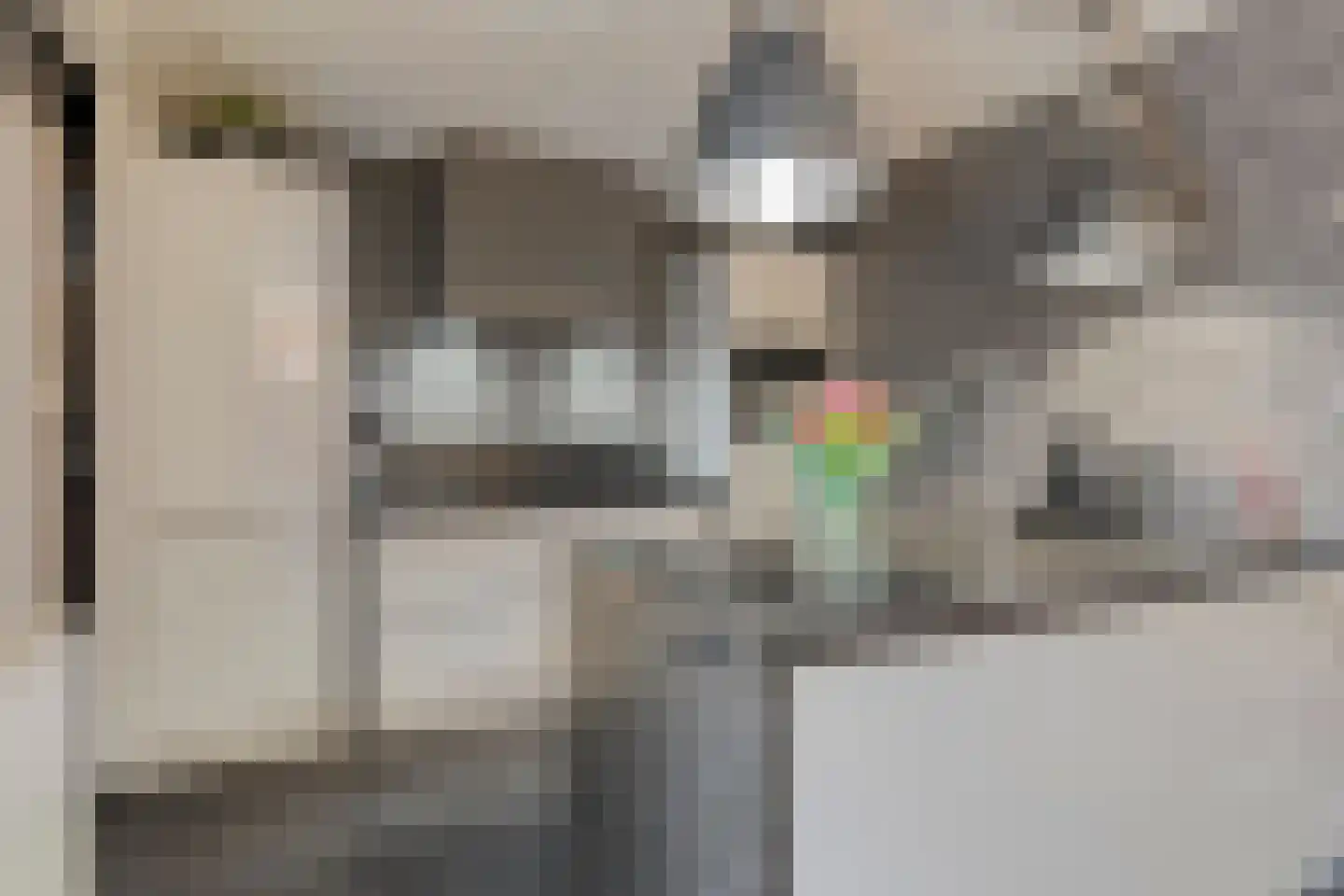 Moerven 207 Veghel thumbnail 15