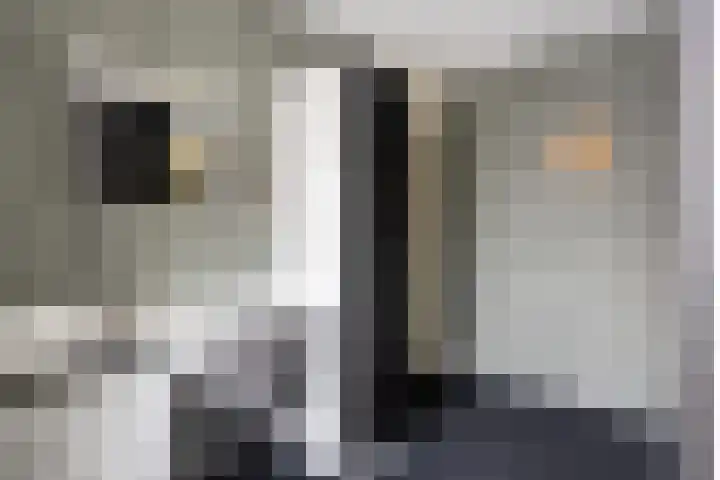 Moerven 207 Veghel thumbnail 25