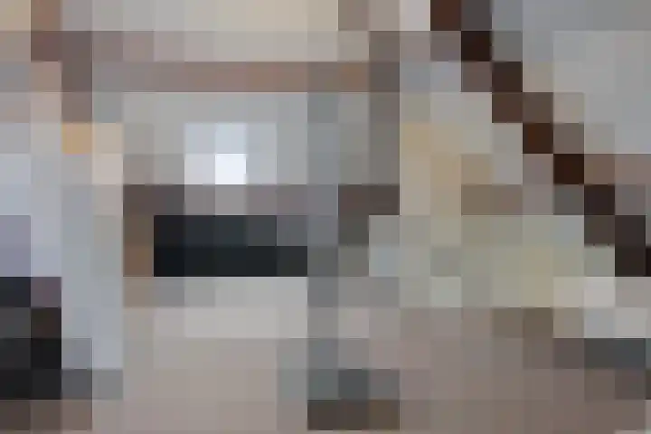 Moerven 207 Veghel thumbnail 28