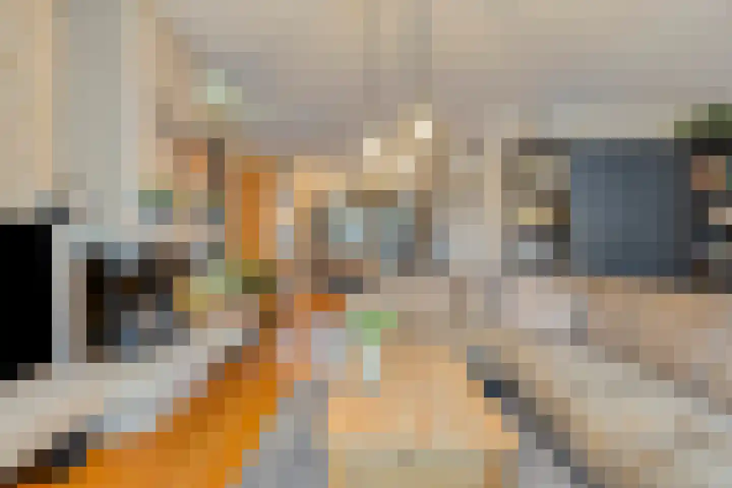 Moerven 207 Veghel thumbnail 9