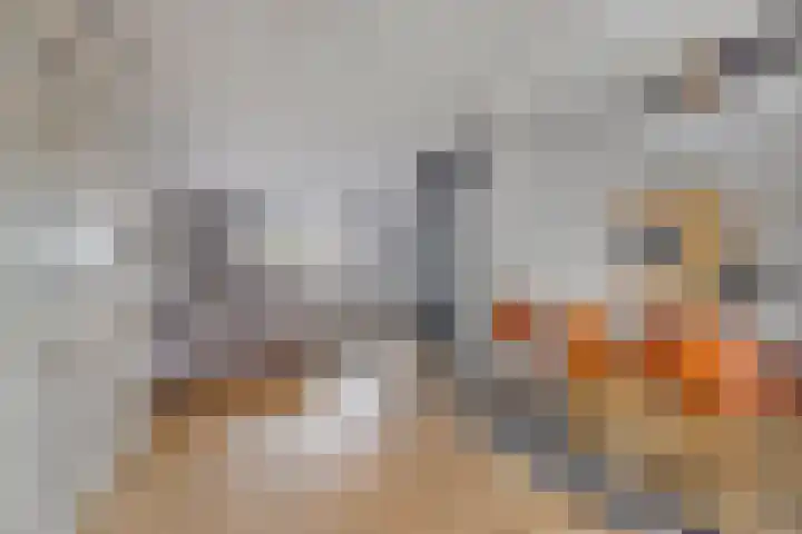 Moerven 272 Veghel thumbnail 15