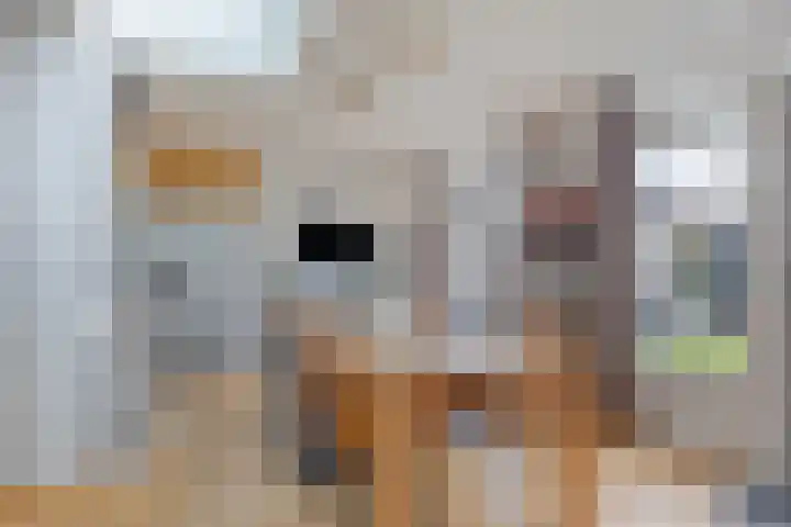Moerven 272 Veghel thumbnail 16